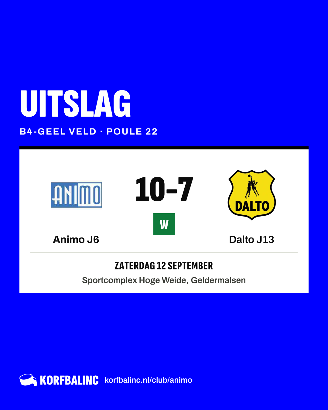 Animo J6 - Dalto J13