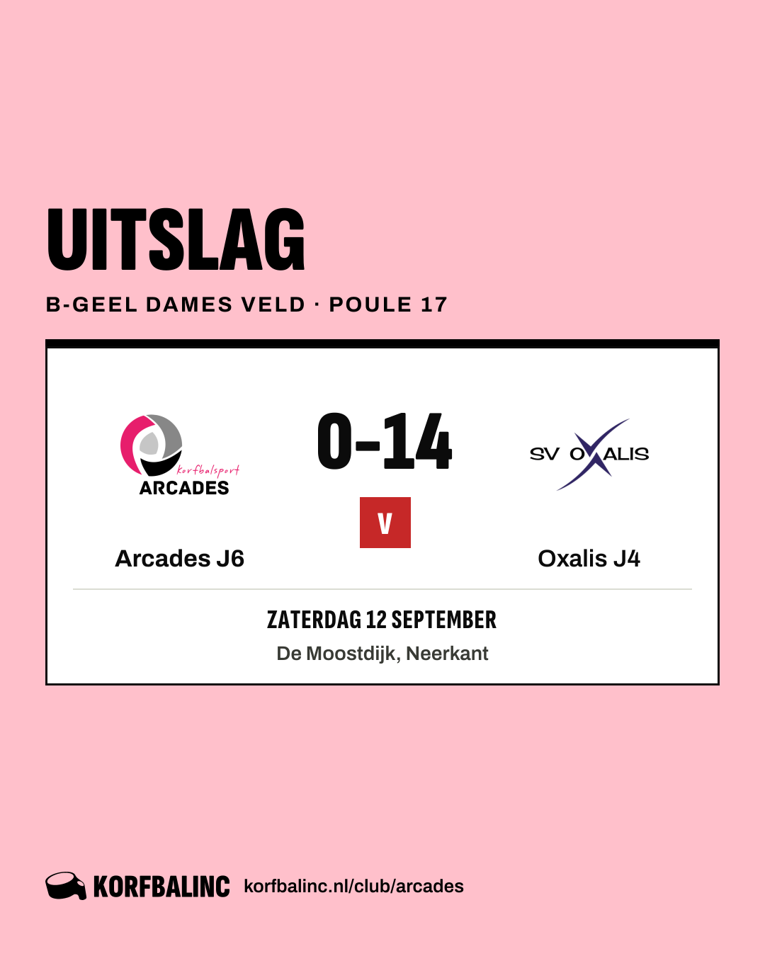 Arcades J6 - Oxalis J4