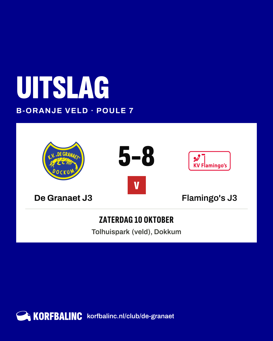 De Granaet J3 - Flamingo's J3