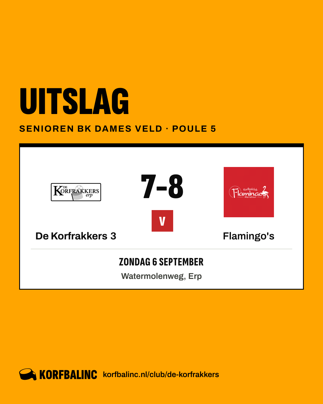 De Korfrakkers 3 - Flamingo's