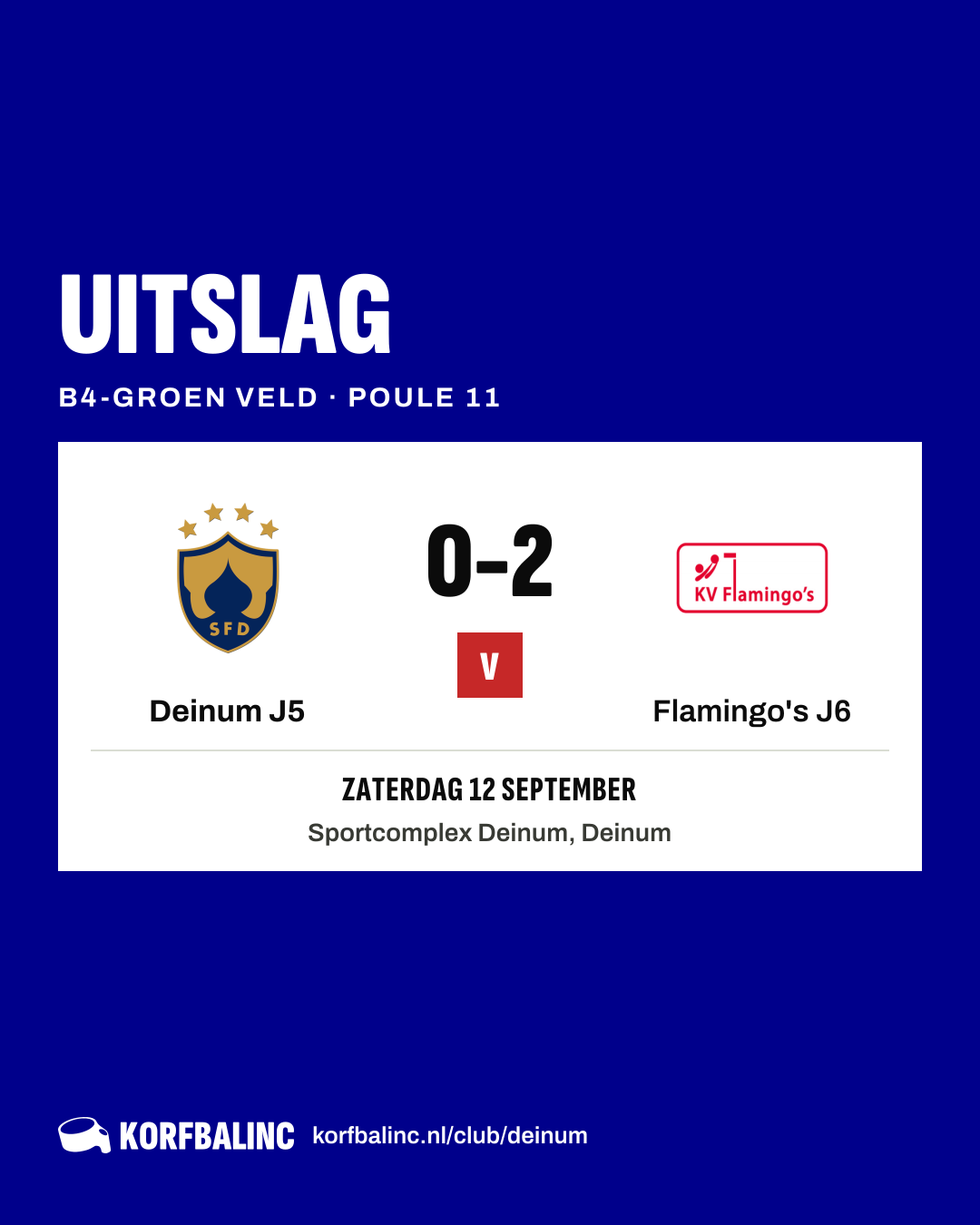 Deinum J5 - Flamingo's J6