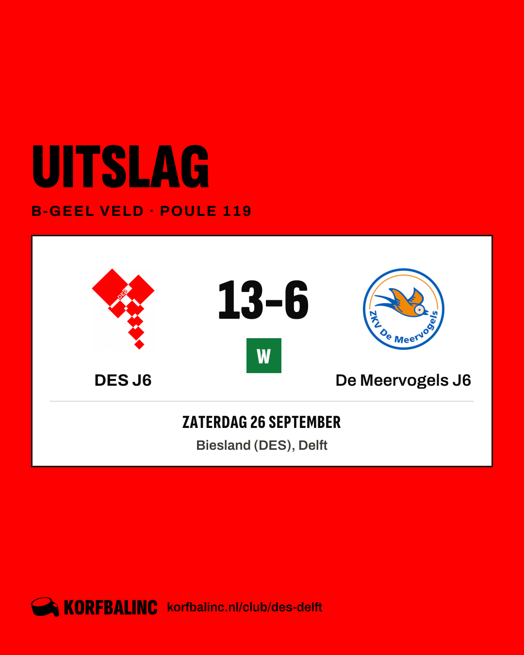 DES J6 - De Meervogels J6