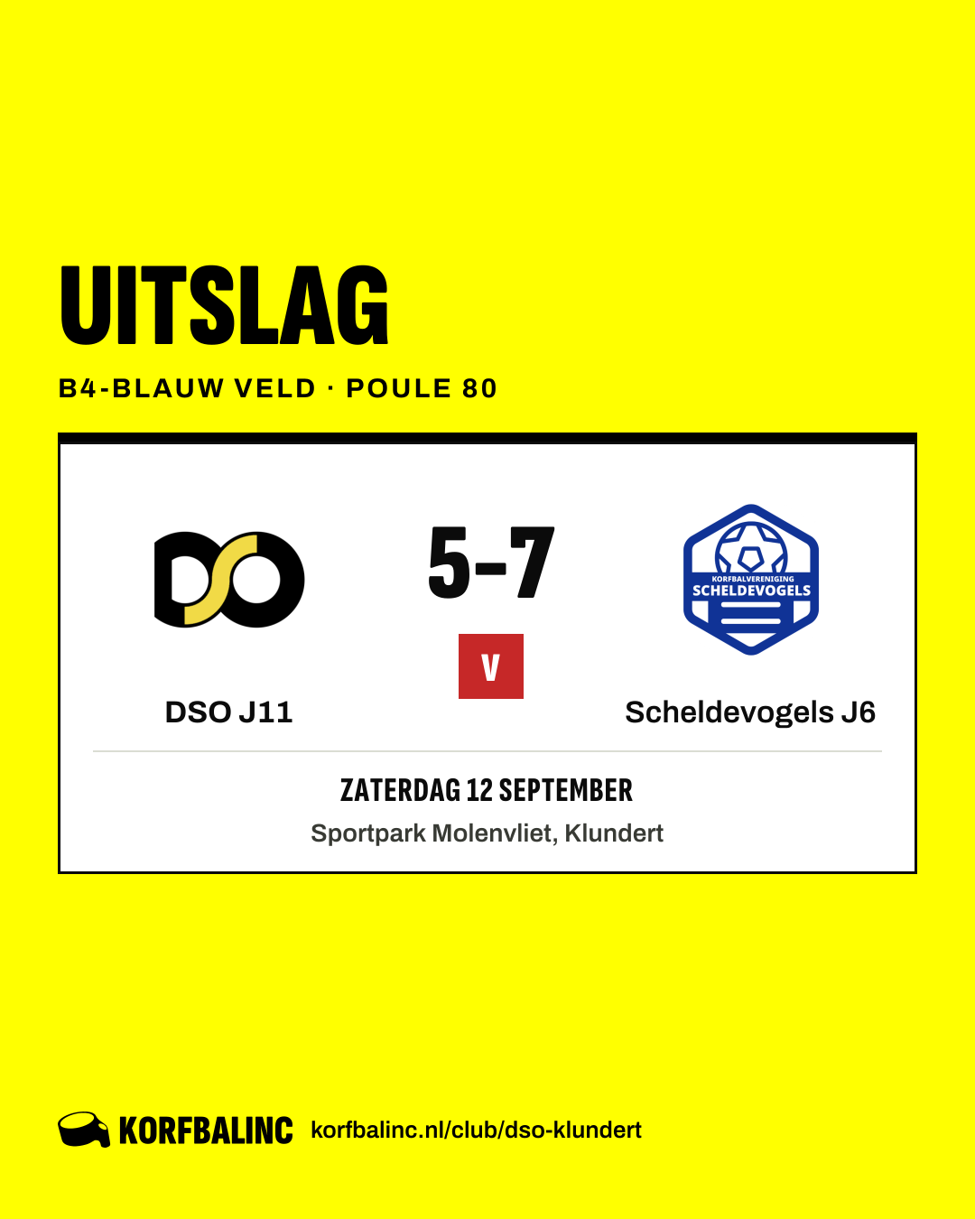 DSO J11 - Scheldevogels J6