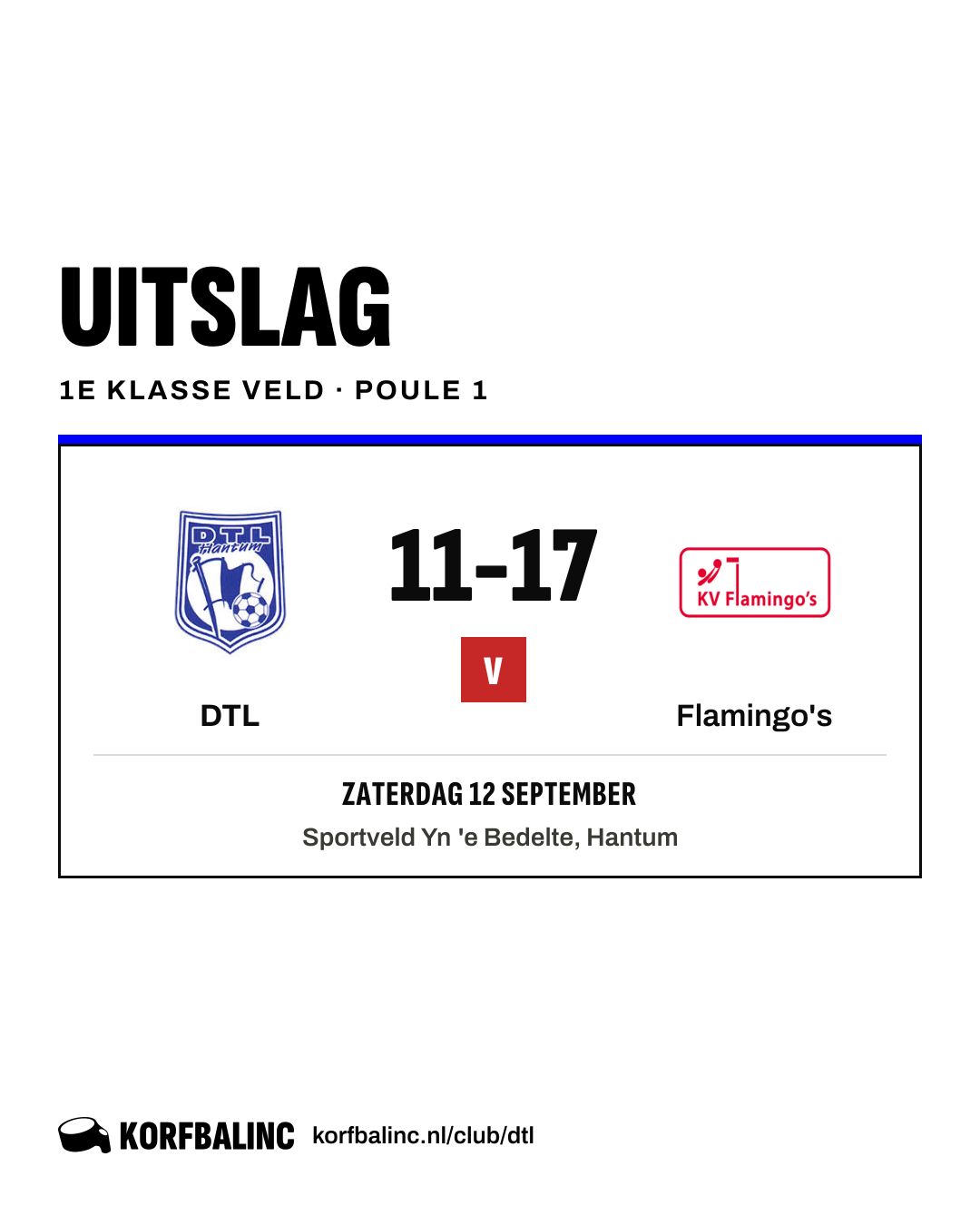 DTL - Flamingo's