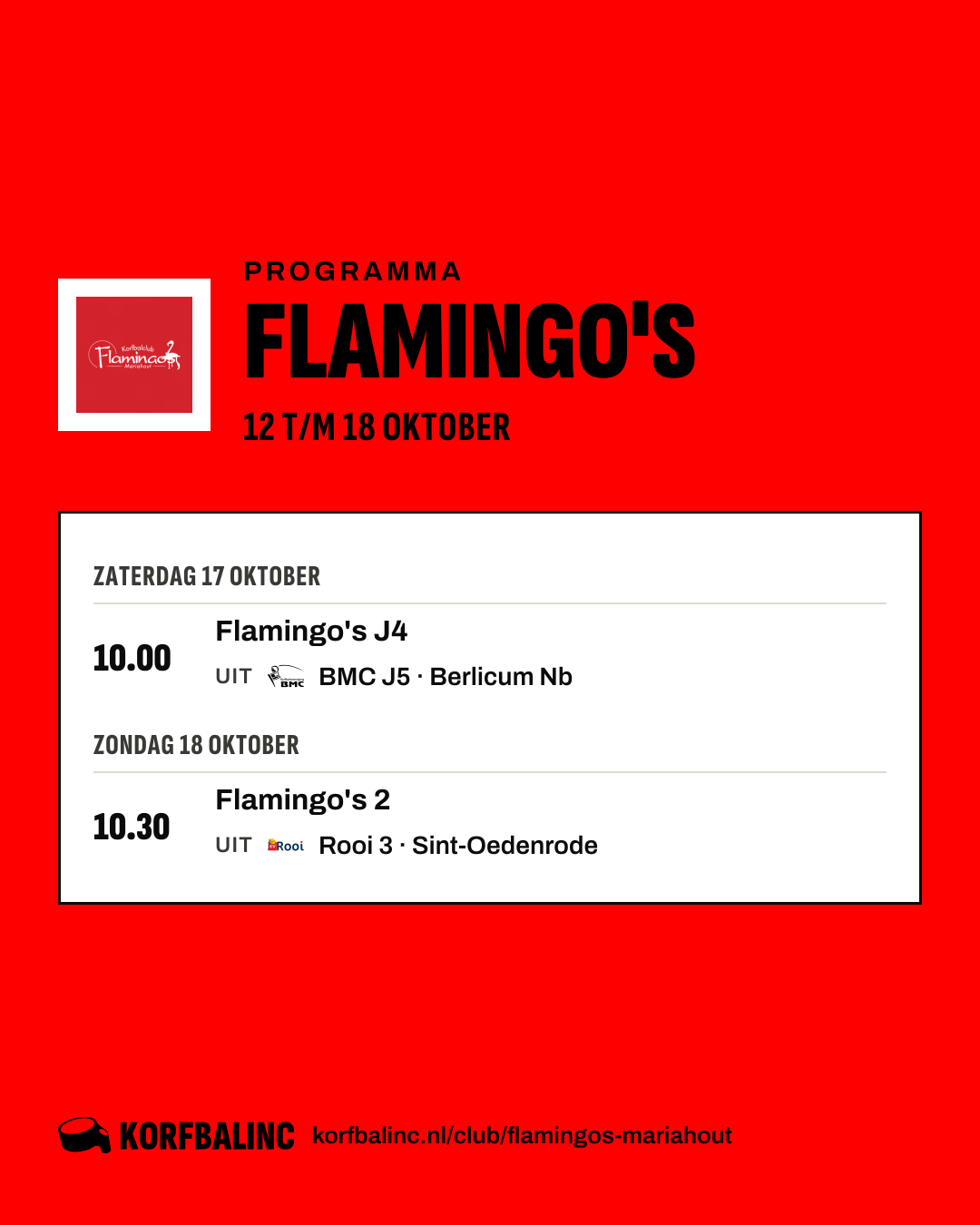 Programma Flamingo's