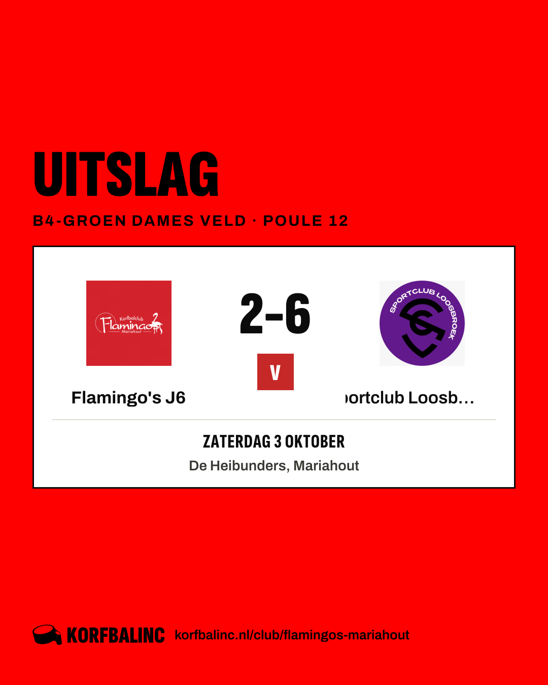 Flamingo's J6 - Sportclub Loosbroek J6