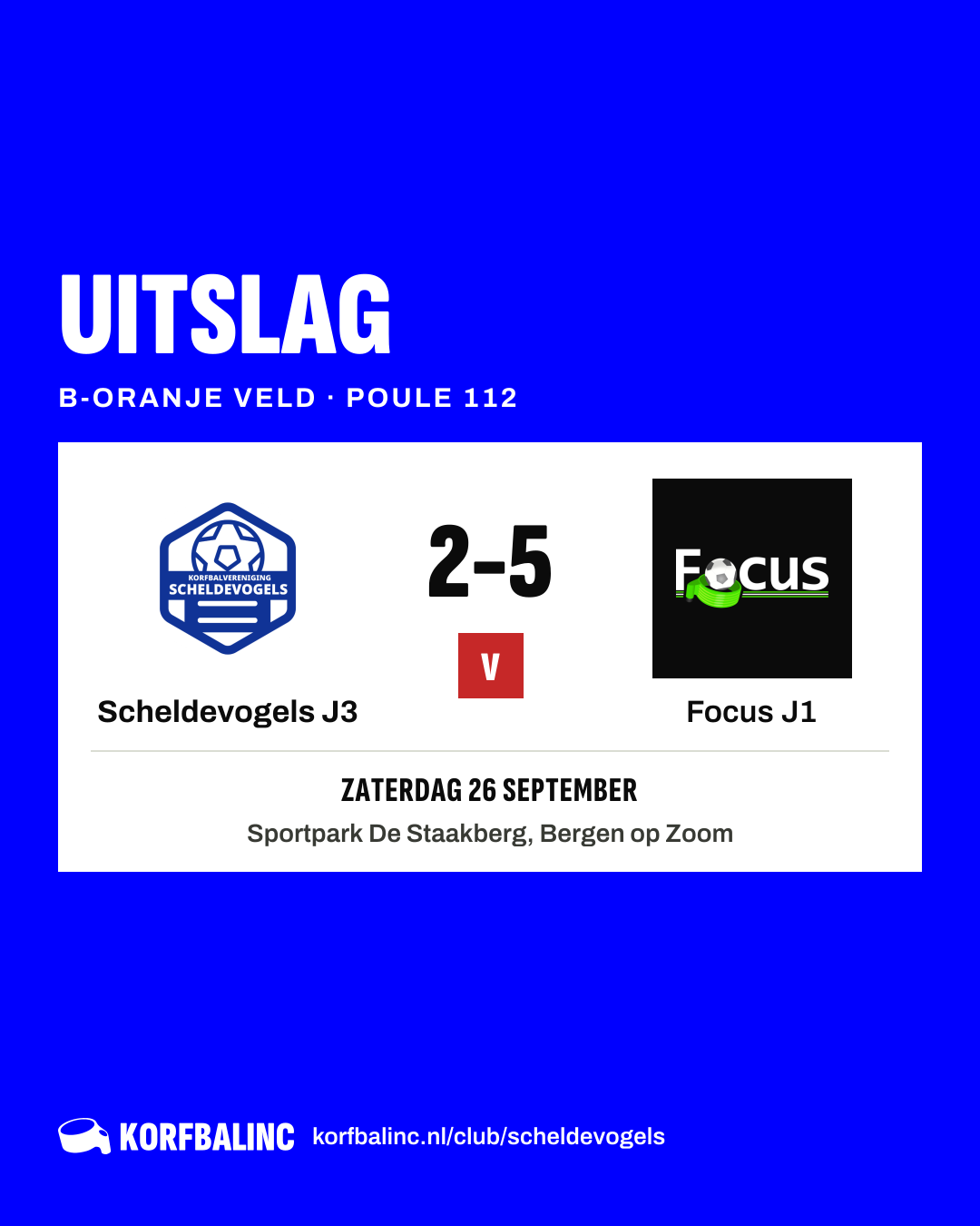 Scheldevogels J3 - Focus J1