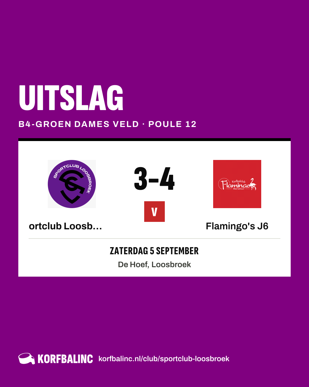 Sportclub Loosbroek J6 - Flamingo's J6