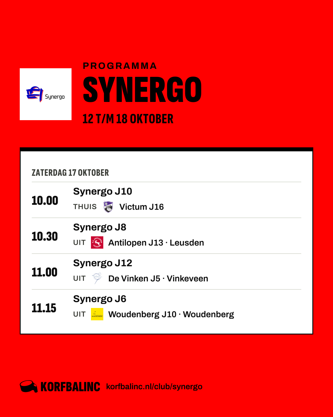 Programma Synergo