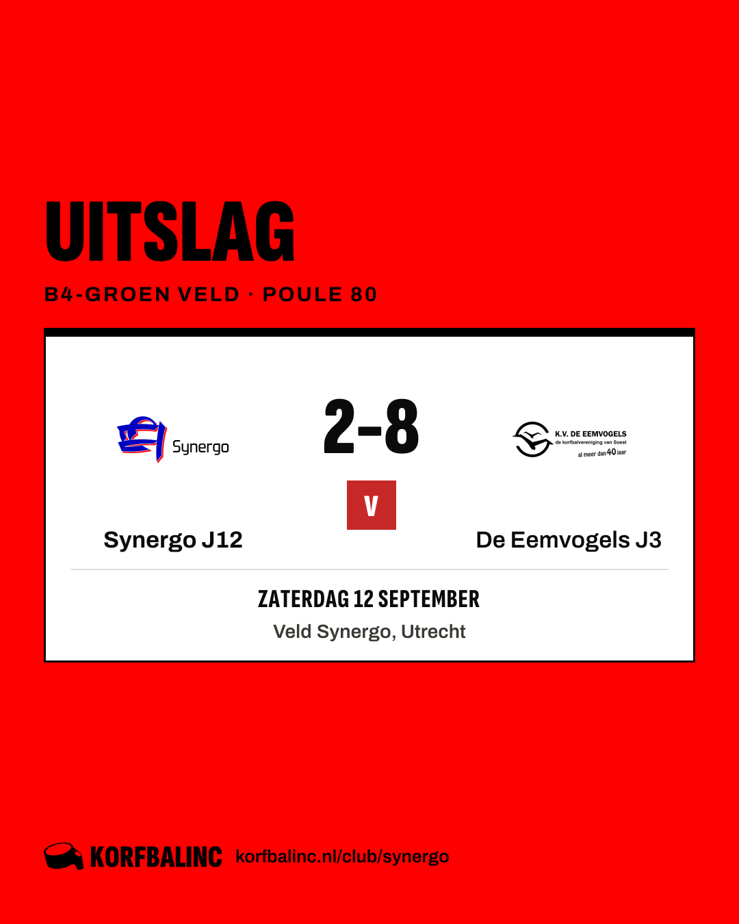 Synergo J12 - De Eemvogels J3