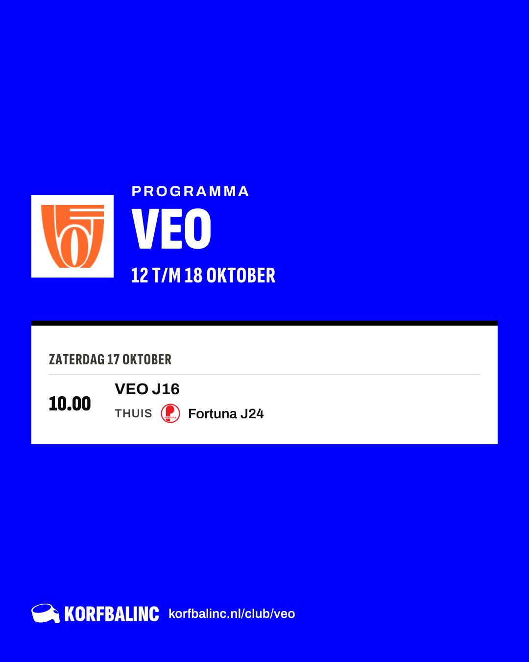 Programma VEO